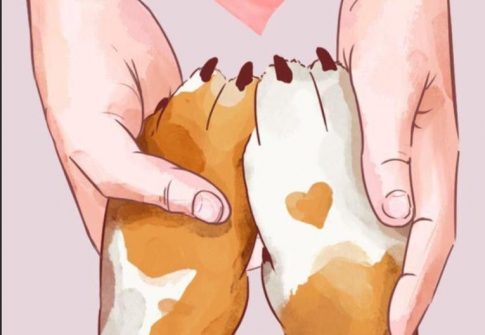 ALIMENTA UNA PATITA CAMPESINA