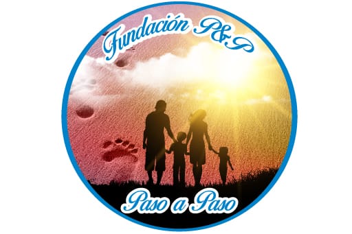 Fundación  P& P paso a paso